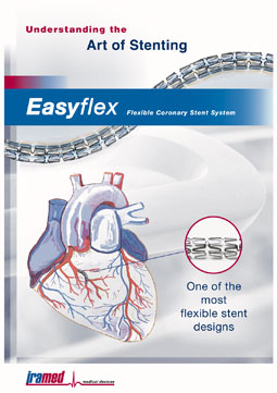 EasyFlex Stent Flyer