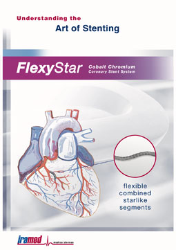 FlexyStar Stent Flyer