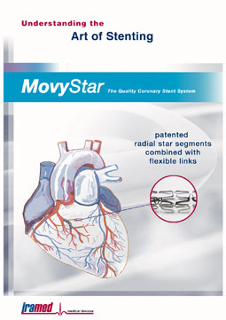 MovyStar Stent Flyer